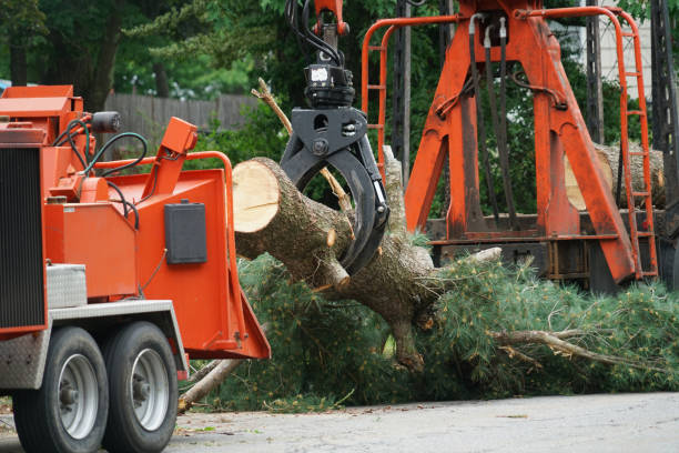 Best Lawn Drainage Solutions  in Waxahachie, TX